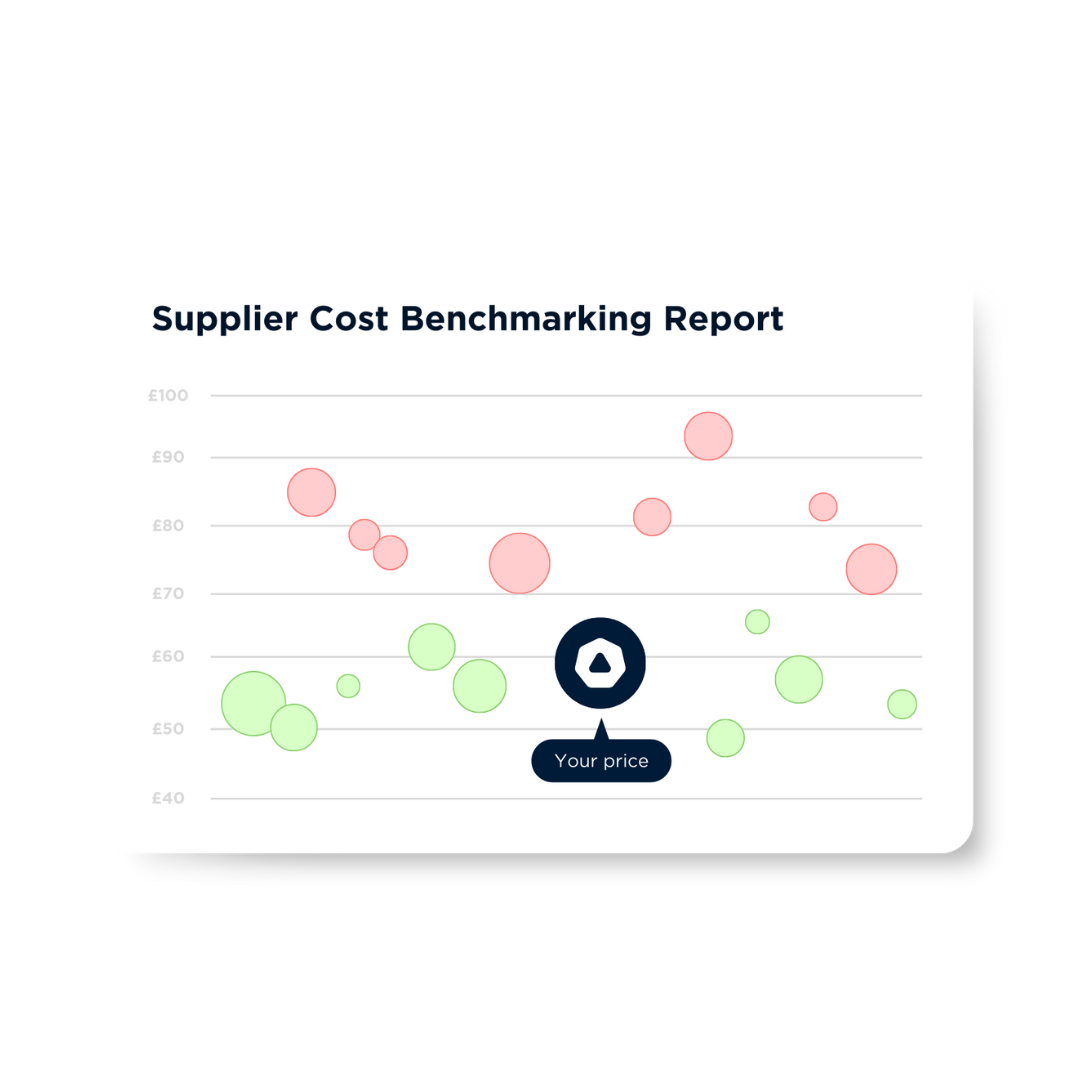 Supplier Cost Benchmarking Report